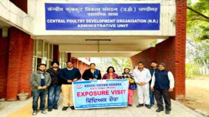 Central Poultry Development Organization Vacancy 2024