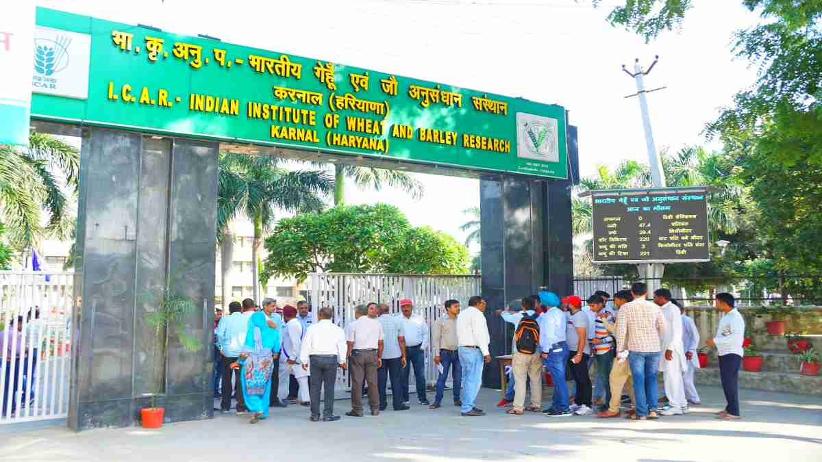 IIWBR Karnal Vacancy 2025