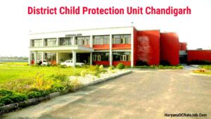District Child Protection Unit Chandigarh Vacancy