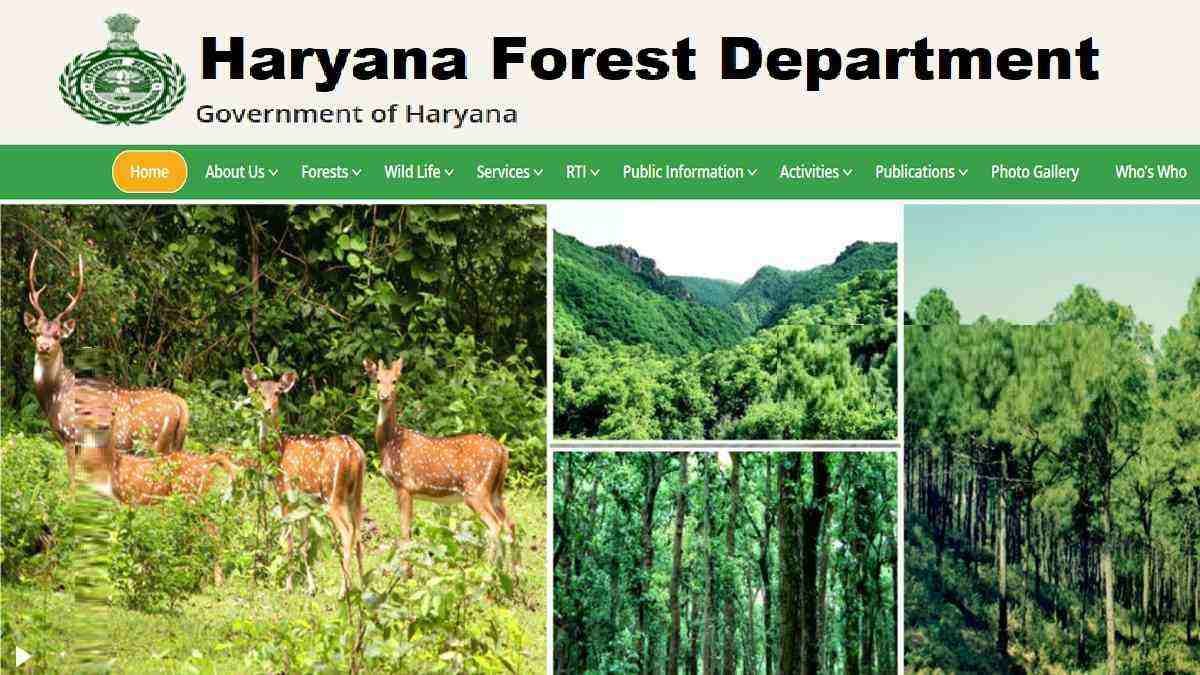 Haryana Forest Guard Vacancy 2026