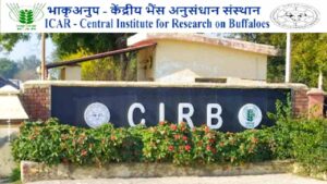 ICAR Hisar Vacancy 2025
