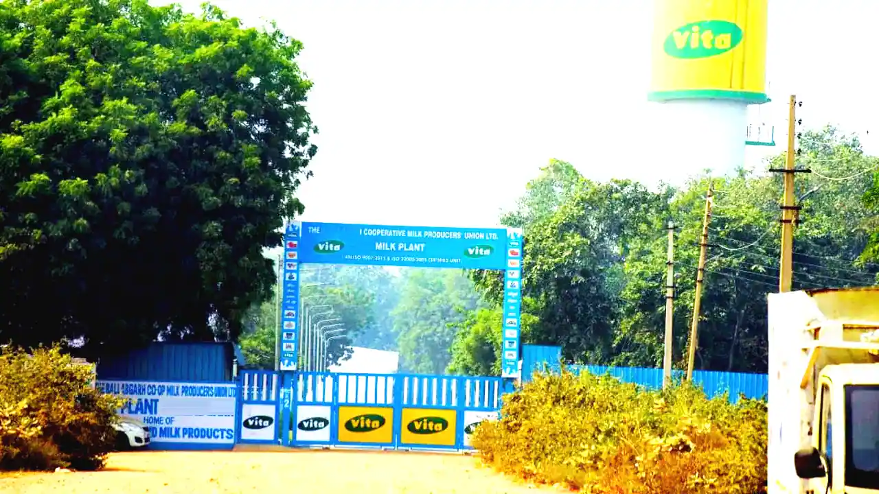 Vita Milk Plant Sirsa Vacancy 2025