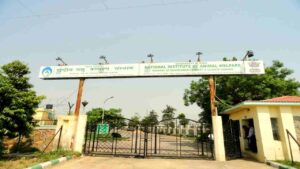 Animal Welfare Board Ballabhgarh Vacancy 2026