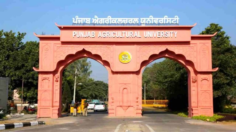 Punjab Agricultural University Vacancy 2026